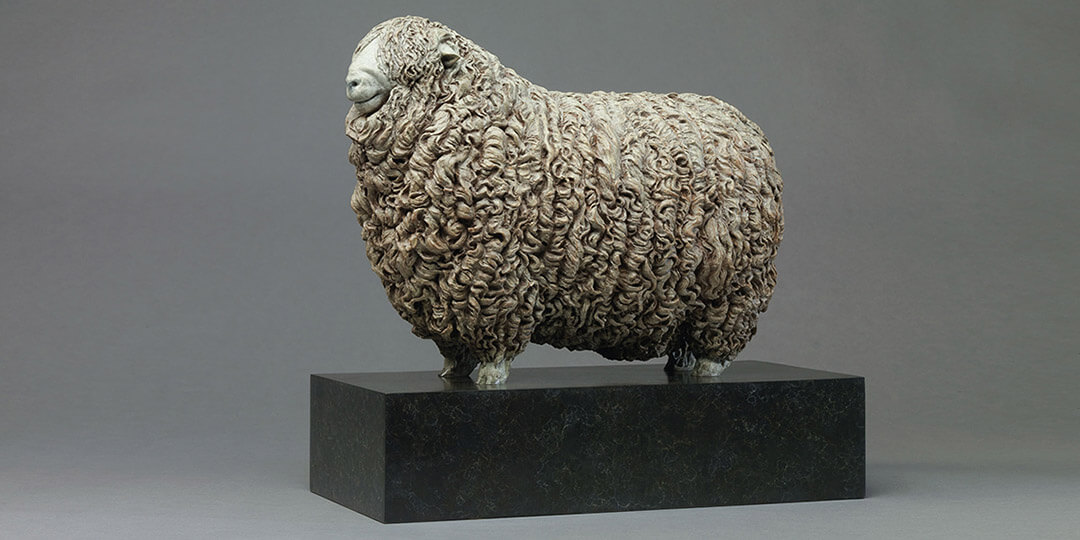 Link To Whiteface Dartmoor Sheep - William