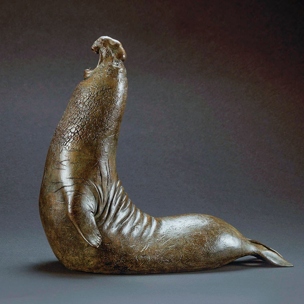 Elephant Seal 1 by Nick Bibby