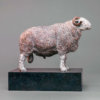 Herdwick Sheep by Nick Bibby