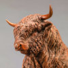 Highland Bull (Eric) by Nick Bibby