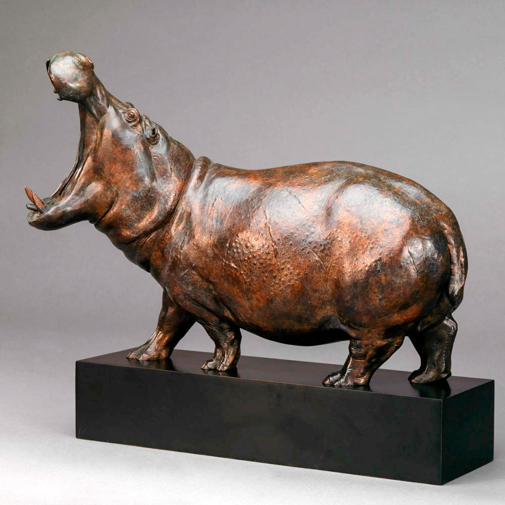 Hippopotamus Bull by Nick Bibby