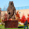 Kodiak Brown Bear (Indomitable) by Nick Bibby