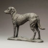 Lurcher (Grace) by Nick Bibby