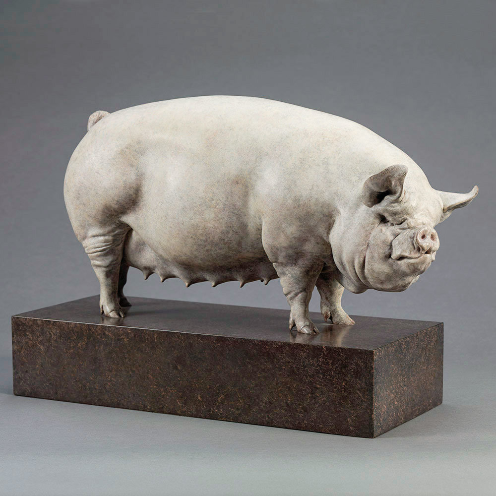 Middle White Pig (Alice) by Nick Bibby