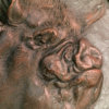 Middle White Pig (Truffles) by Nick Bibby