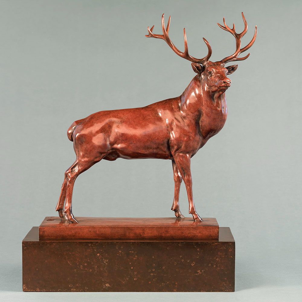 Red Deer Stag (The Emperor of Exmoor) by Nick Bibby