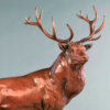 Red Deer Stag (The Emperor of Exmoor) by Nick Bibby