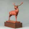 Red Deer Stag (The Emperor of Exmoor) by Nick Bibby