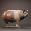 Saddleback Pig (Happy Sow) by Nick Bibby