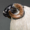 Scottish Blackface Sheep (Moortown JJ) by Nick Bibby