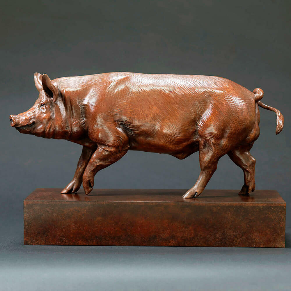 Tamworth Pig (Crane Glen III) by Nick Bibby