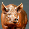 Tamworth Pig (Crane Glen III) by Nick Bibby