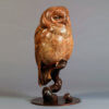 Tawny Owl by Nick Bibby
