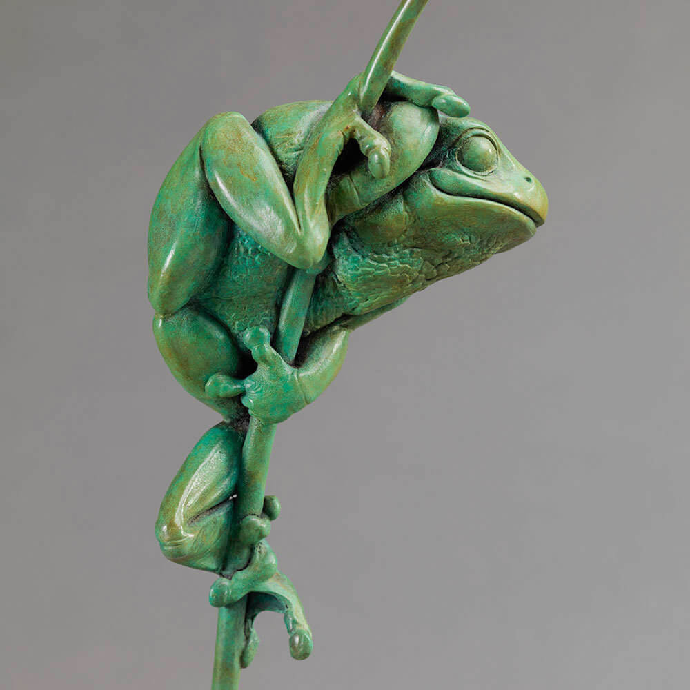 Tree Frog by Nick Bibby