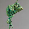 Tree Frog by Nick Bibby