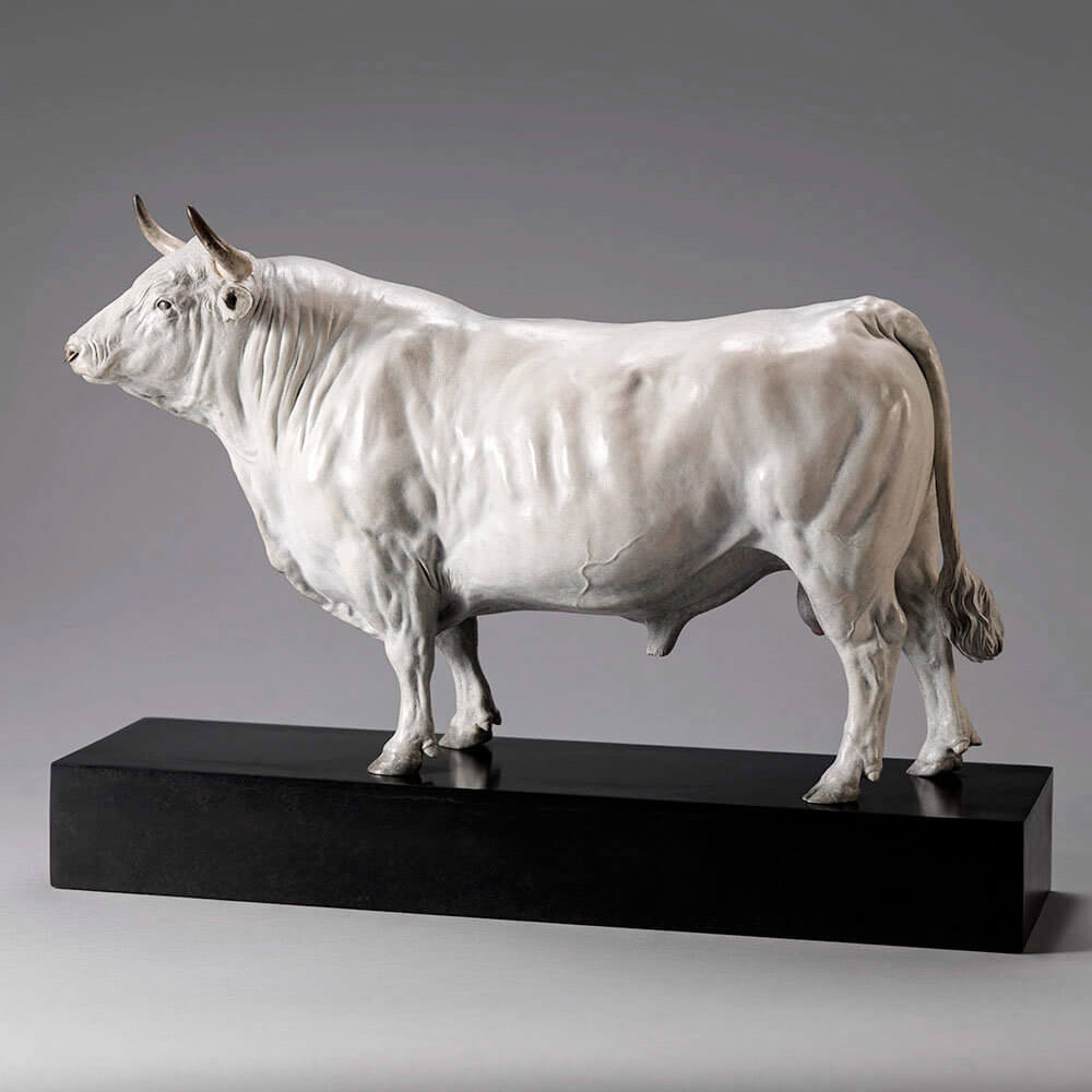 White Park Bull (Ash Nik-Nak) by Nick Bibby