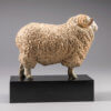 Whiteface Dartmoor Sheep (William) by Nick Bibby