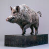 Wild Boar by Nick Bibby