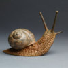 GARDEN SNAIL