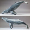 Humpback Whale by Nick Bibby