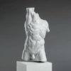 APOLLO TORSO MAQUETTE