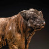 Belted Galloway Bull (Conqueror - Alternate Patina)