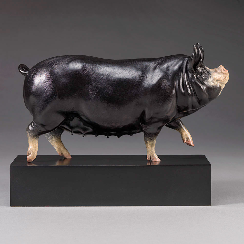 Berkshire Pig (Dittisham Lady 22) by Nick Bibby