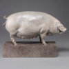 British Lop Pig (Liskeard Sunshine 500) by Nick Bibby