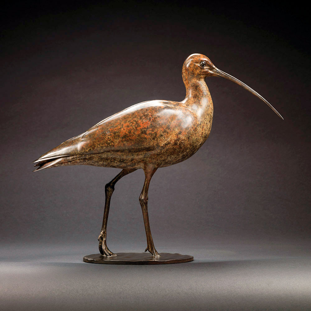Curlew by Nick Bibby