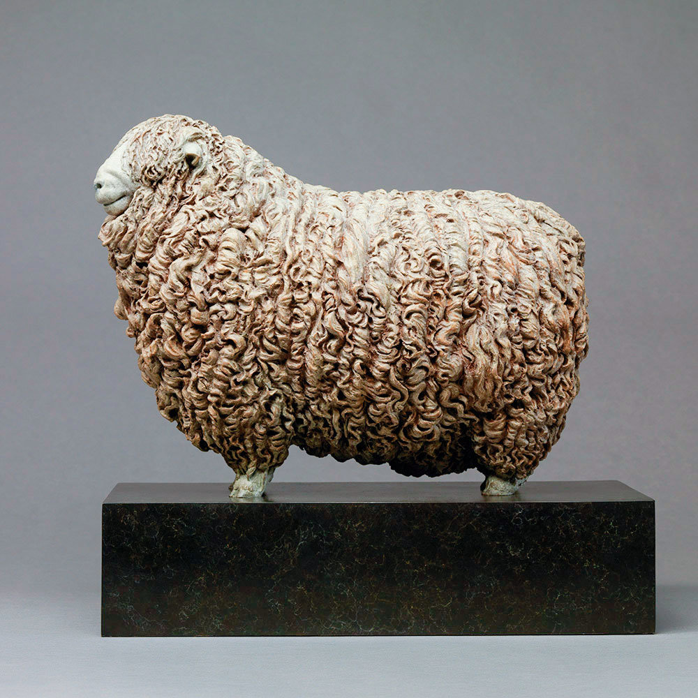 Devon and Cornwall Longwool Sheep (ED) by Nick Bibby