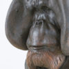 Orangutan Bust "Old Man of the Woods" by Nick Bibby