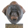Orangutan Bust "Old Man of the Woods" by Nick Bibby