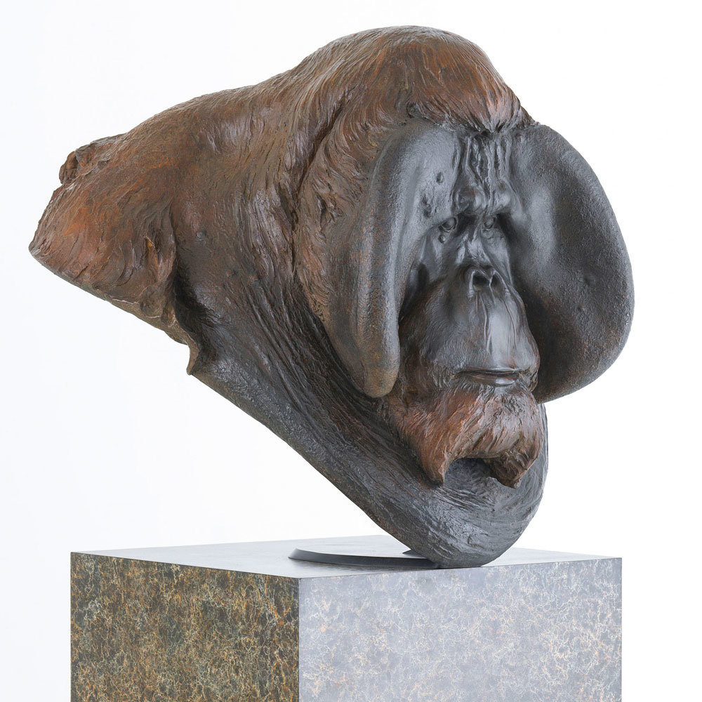 Orangutan Bust "Old Man of the Woods" by Nick Bibby