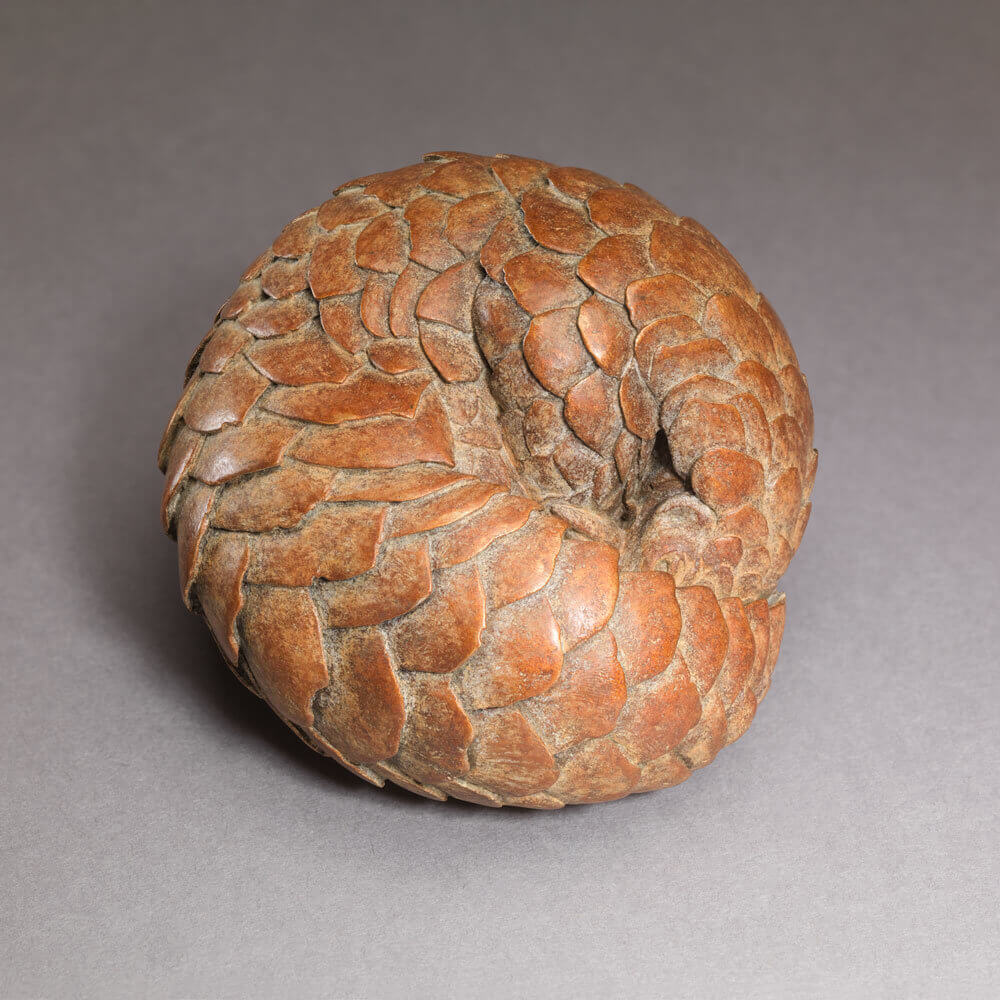 Pangolin