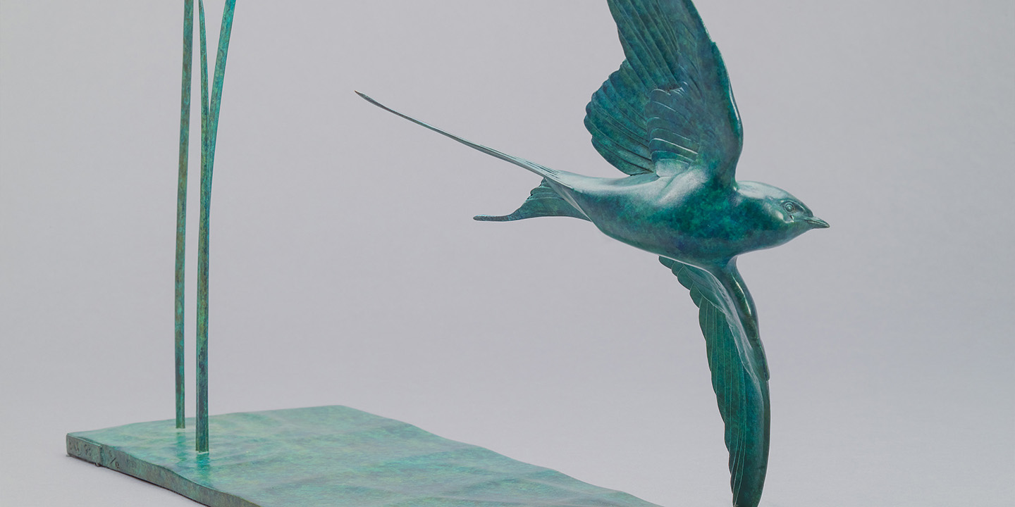 Link To Swallow in Flight