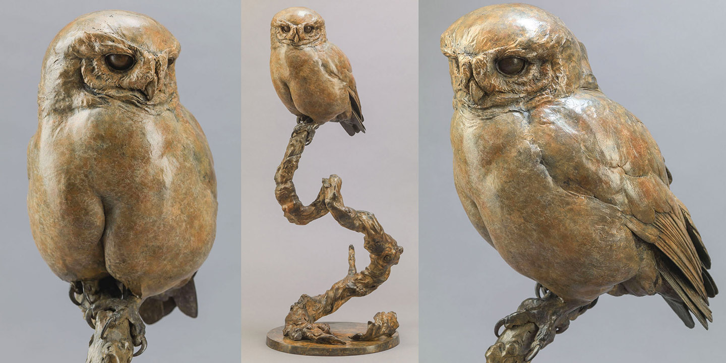 Link To Little Owl II