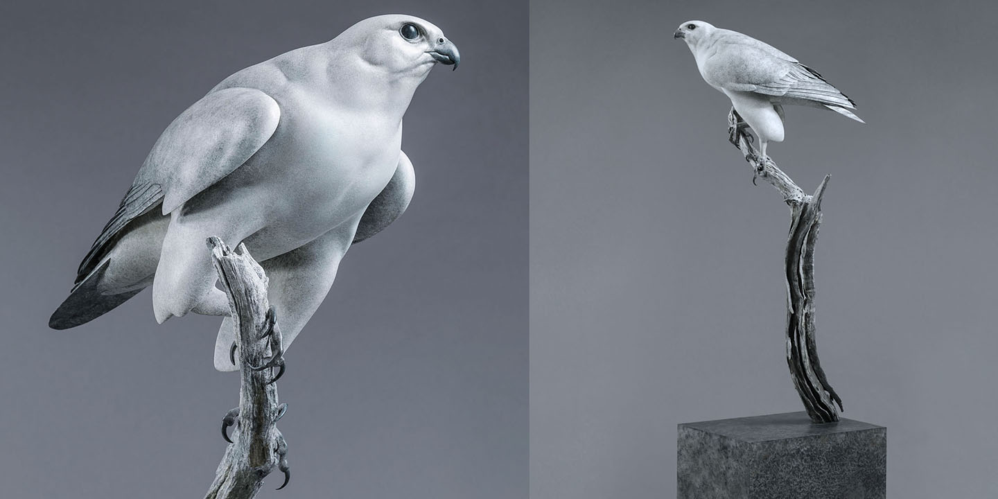 Link To Gyrfalcon 