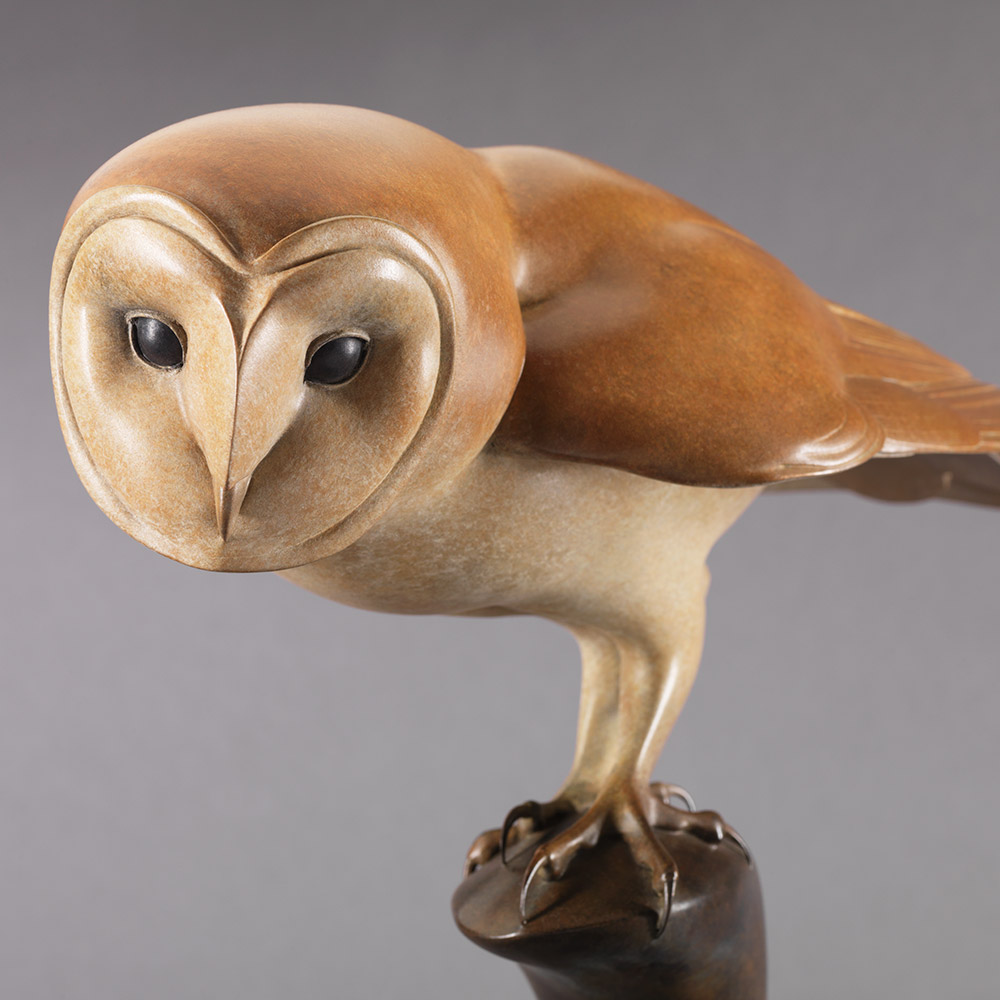 Barn Owl by Nick Bibby