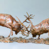 RED DEER STAGS (THE-DUEL)