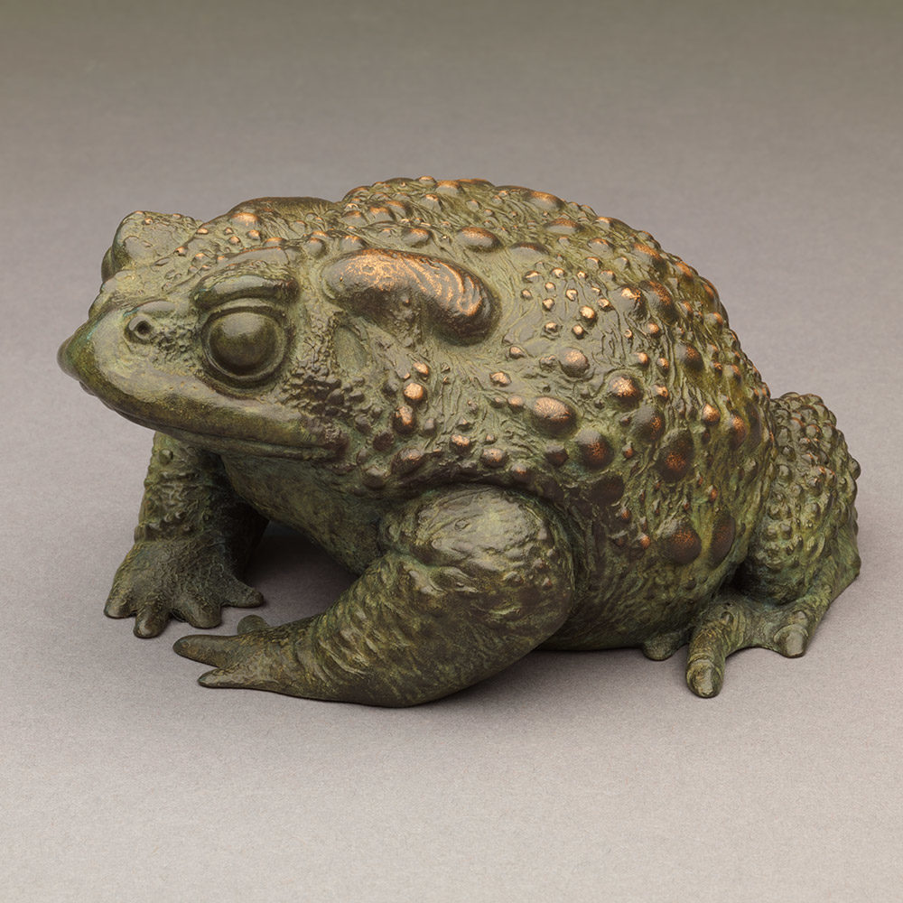 Toad II by Nick Bibby