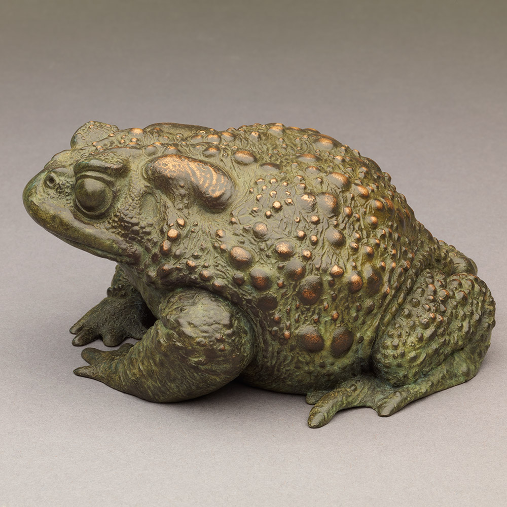 Toad II by Nick Bibby