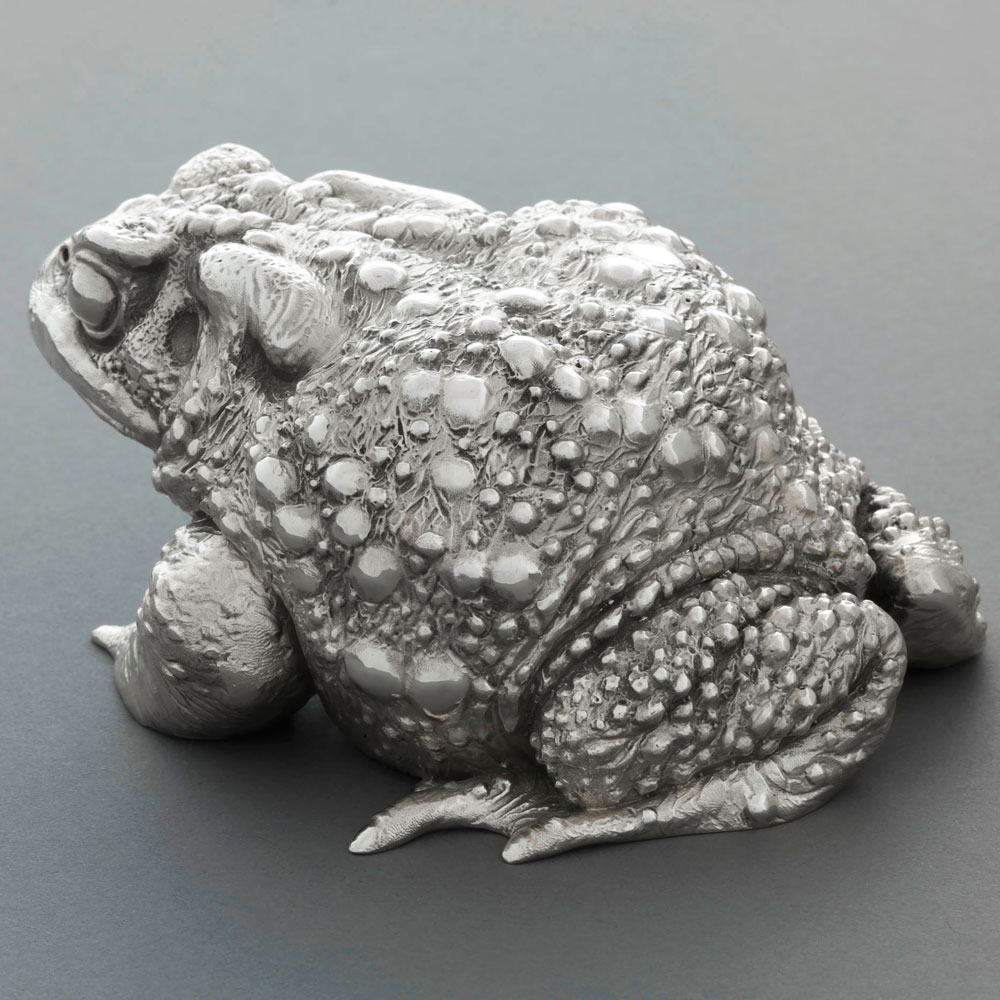 Toad II (Silver) by Nick Bibby