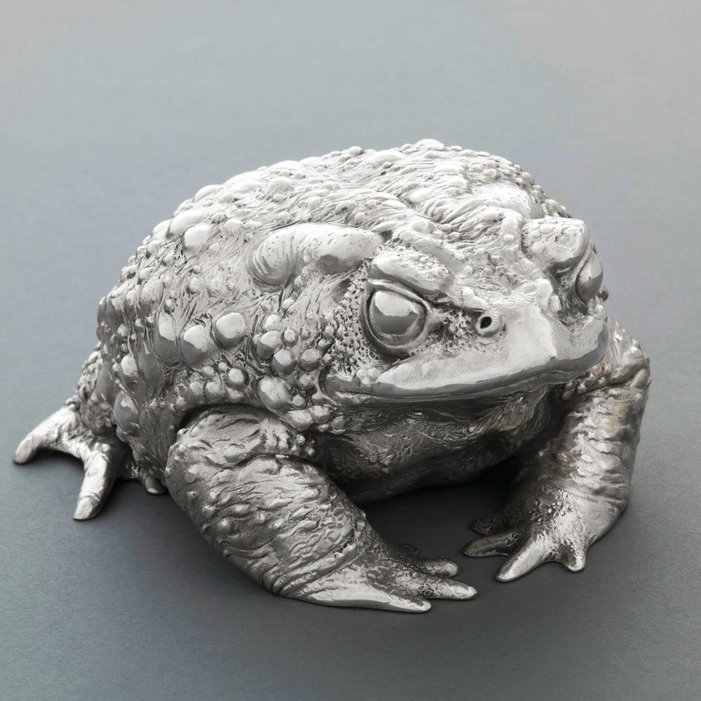 Toad II (Silver) by Nick Bibby